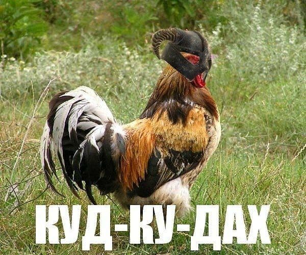 Куд-Ку-Дах