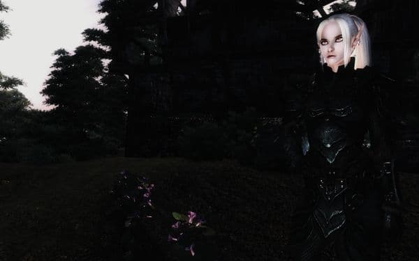 Sasha