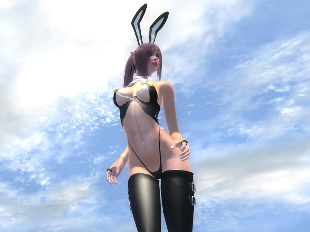 Bunny Girl Armor