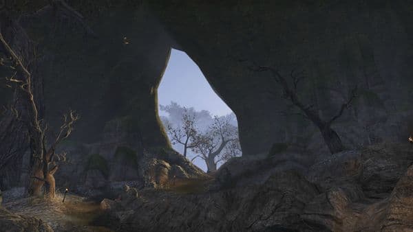 Valenwood