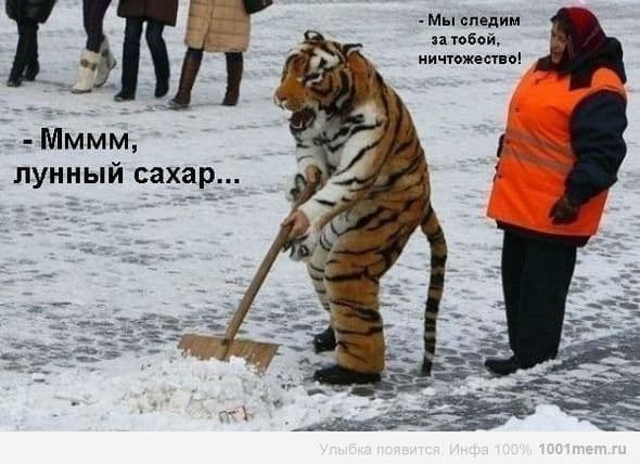 Сахарок...