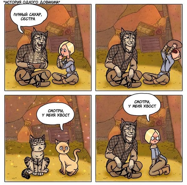 История одного Довакина.
