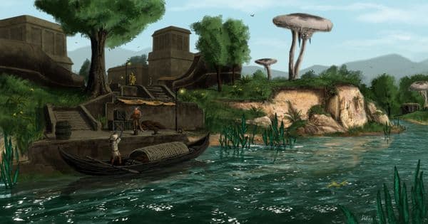 Плантация Дрена