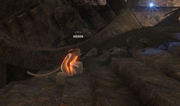 Hidden