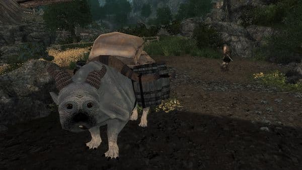 Enderal