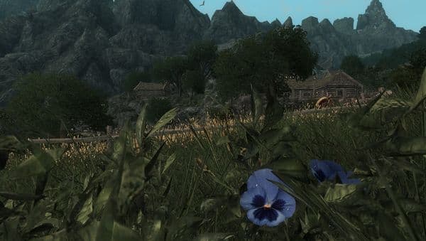 Enderal