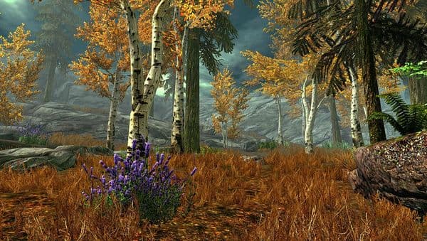 Skyrim