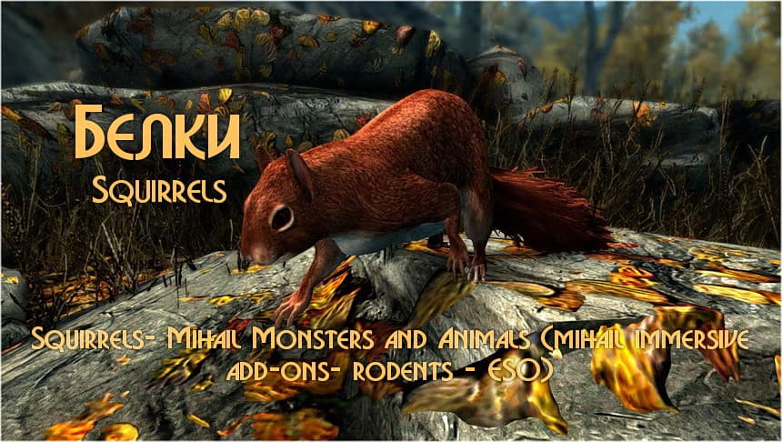 Белки