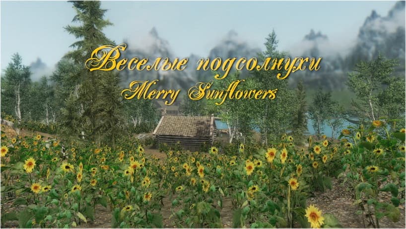 Веселые подсолнухи