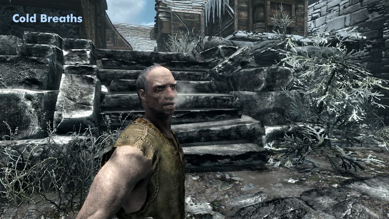 Сырость и холод - Skyrim Special Edition