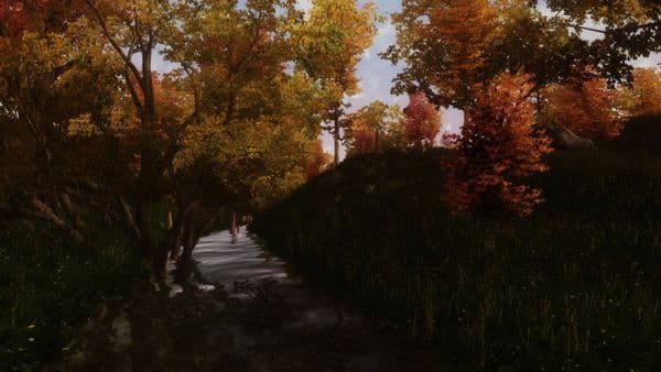 Nature