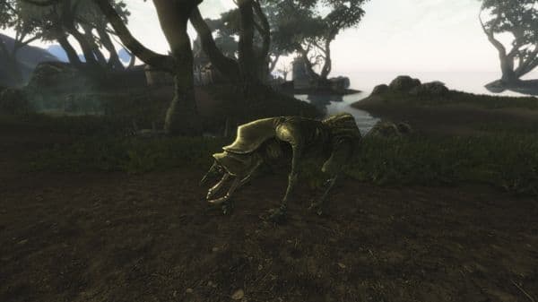 Morroblivion SeydaNeen15