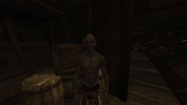 Morroblivion SeydaNeen17