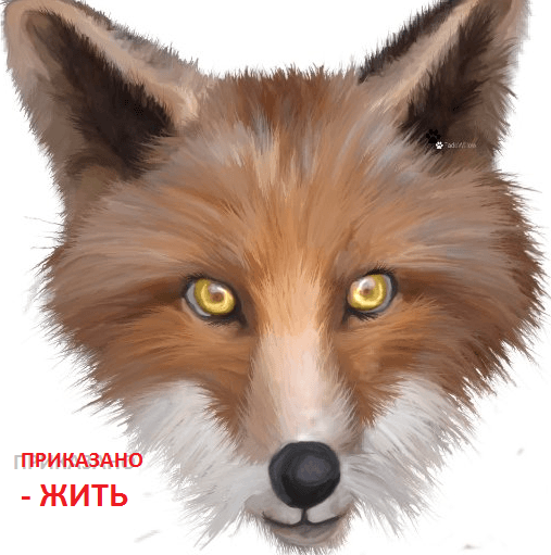 ЖИТЬ - приказано !
