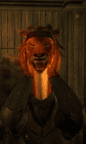 Illah