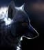 DarkWolf