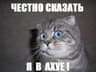 4udo-bober