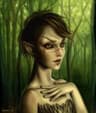Bosmer