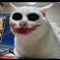 vlod47