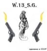 W13_SG