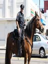 Horse Police