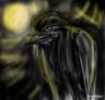 Schwarzer_Vogel