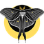 Prince-Moth
