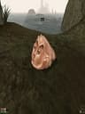 MakSteve