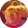 Libararian