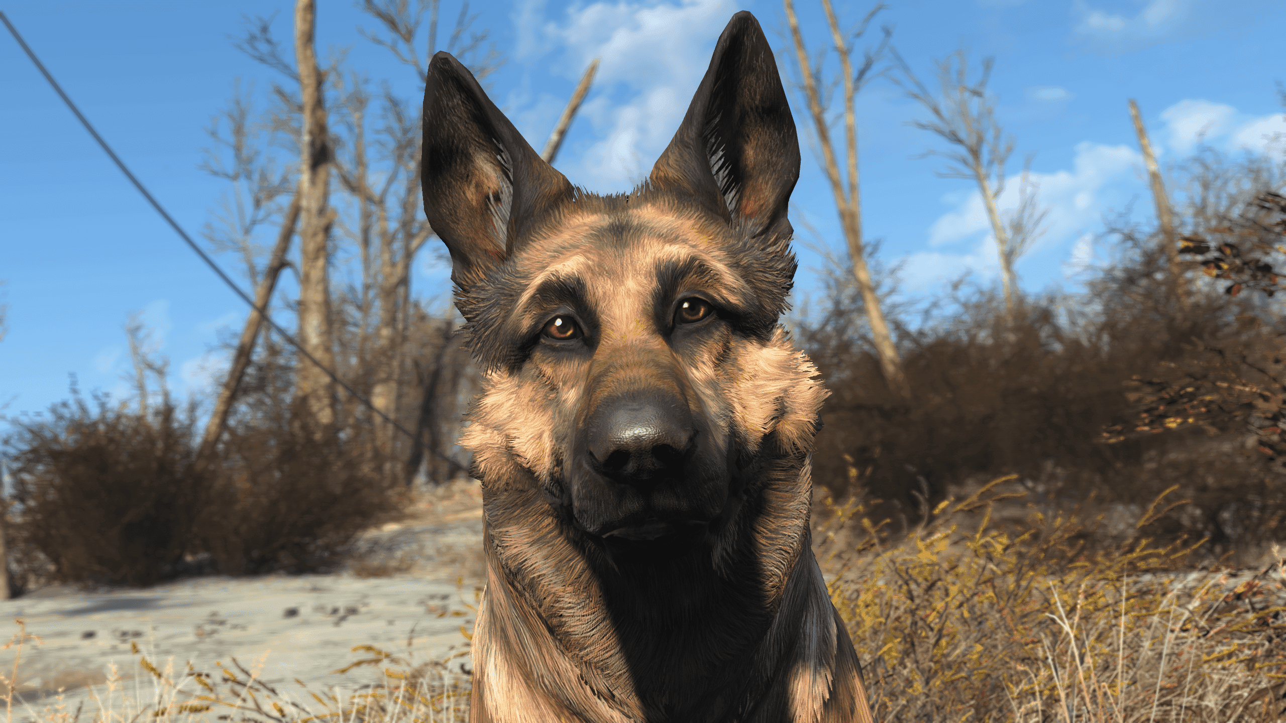 На Fallout 4 вышел фоторежим