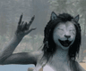 WolfHunter8888