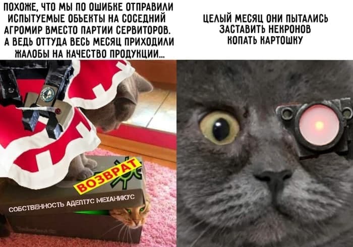 Тессерактовые лабиринты некродермисных картофелехранилищ со стасиз-полем