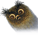 Chaotic999