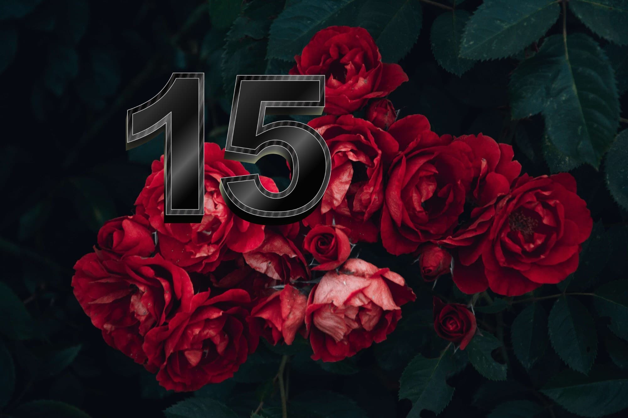 TESALL. RU - 15 лет