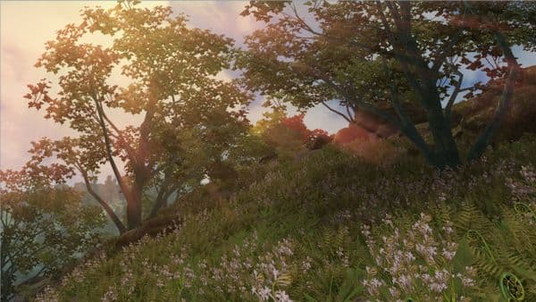 Sunrays