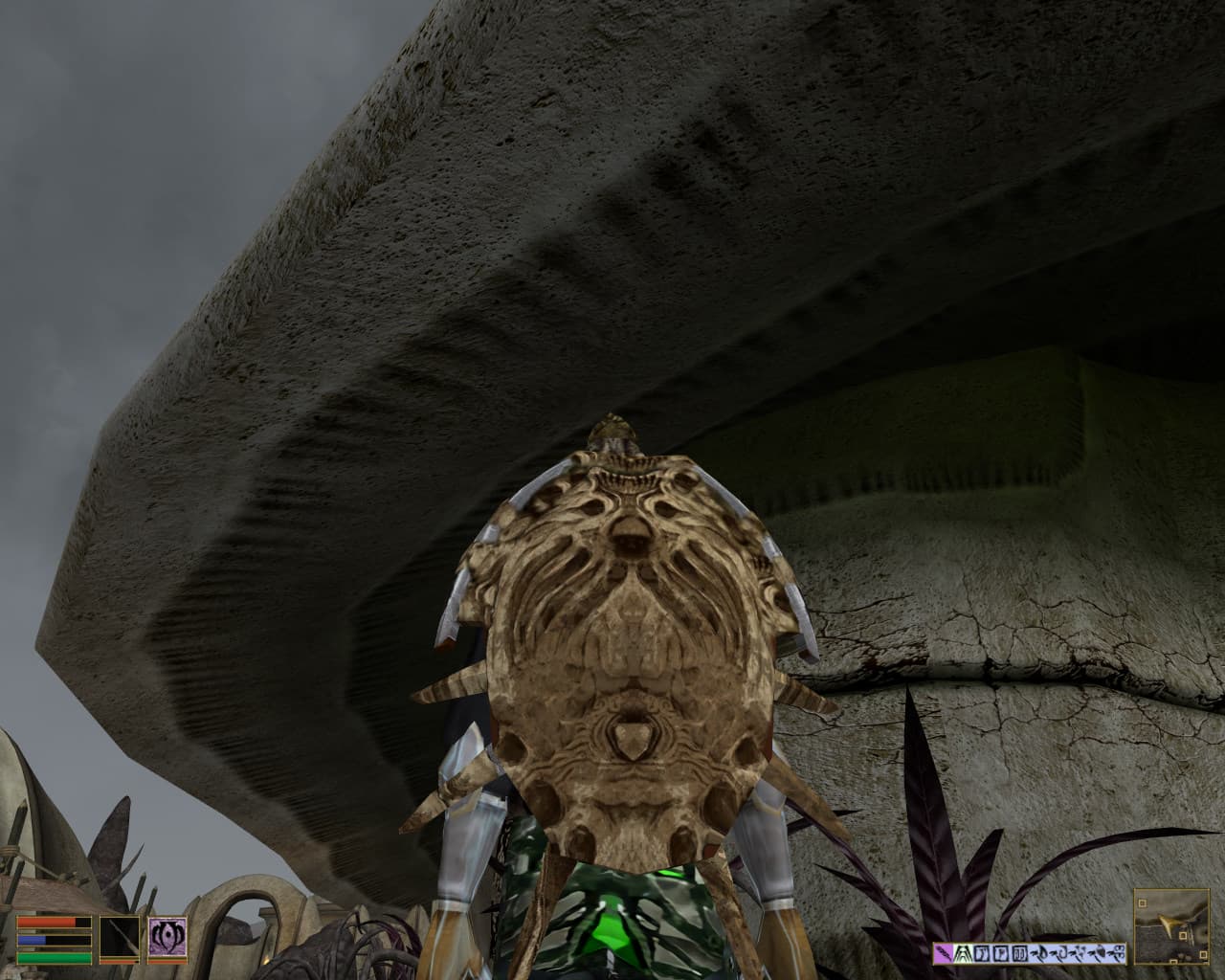 Bonemold shield Retexture| Ретекстур костяного щита