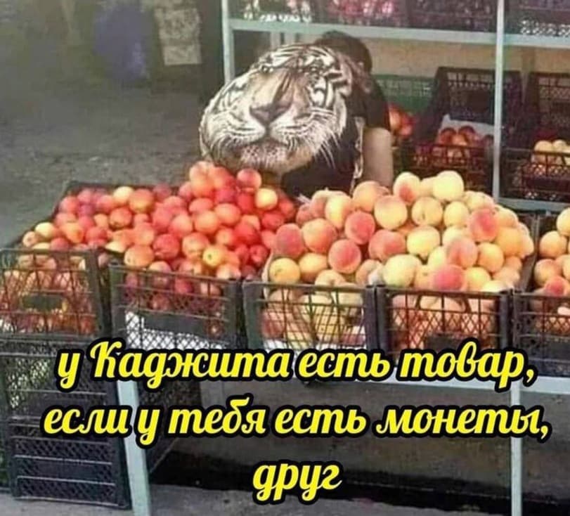 Каджит торговец