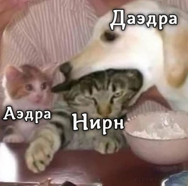 Нирн и боги
