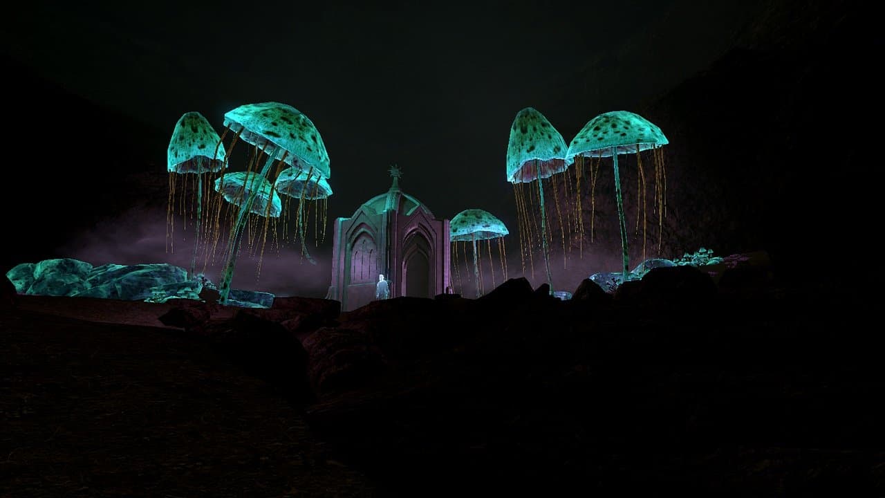 Black Reach Mushrooms/Грибы Черного Предела