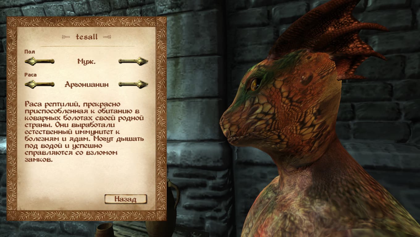 Oblivion Character Overhaul v203 Rus + SR OCOv15aRus (Все в Одном)