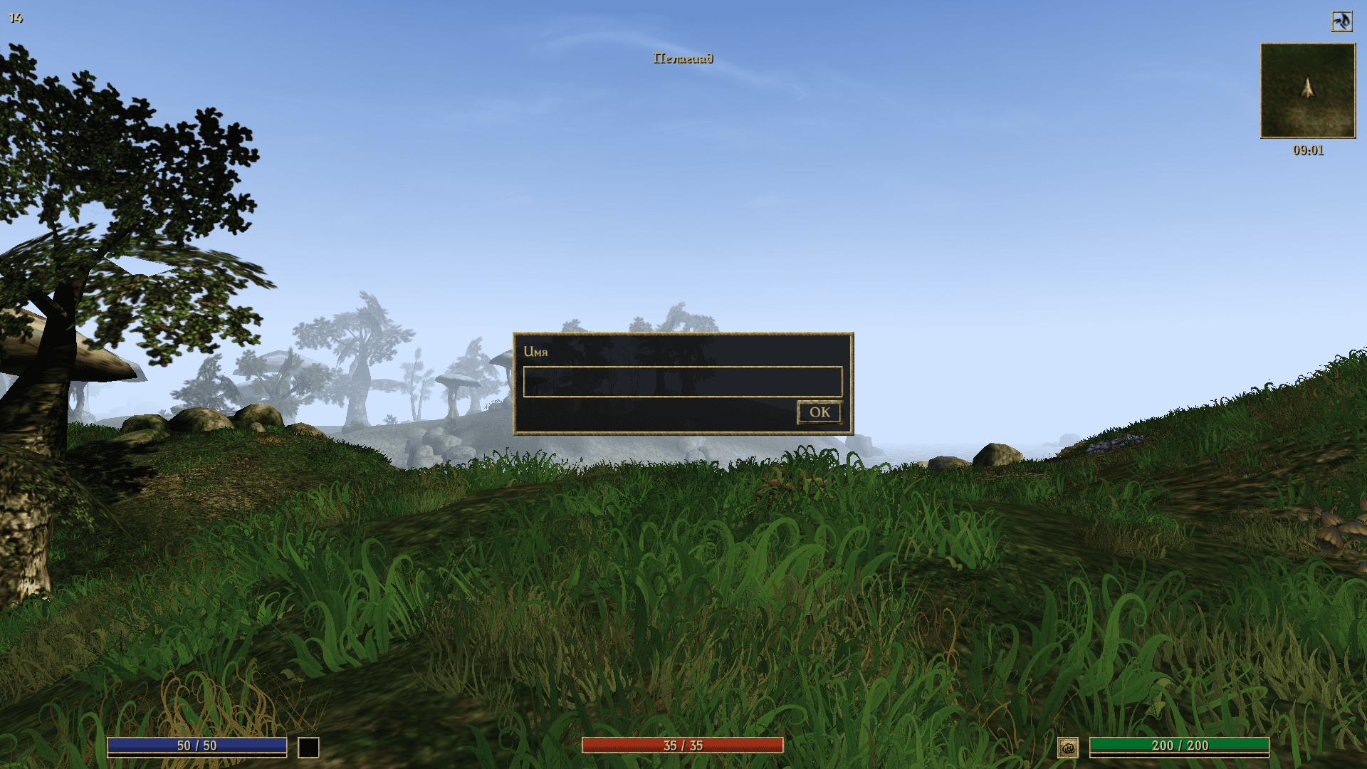 TES3MP 0.8.1 Zer0Custom