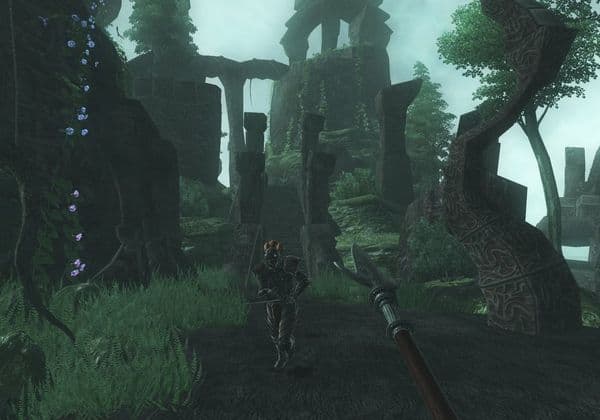 Oblivion: Andoran