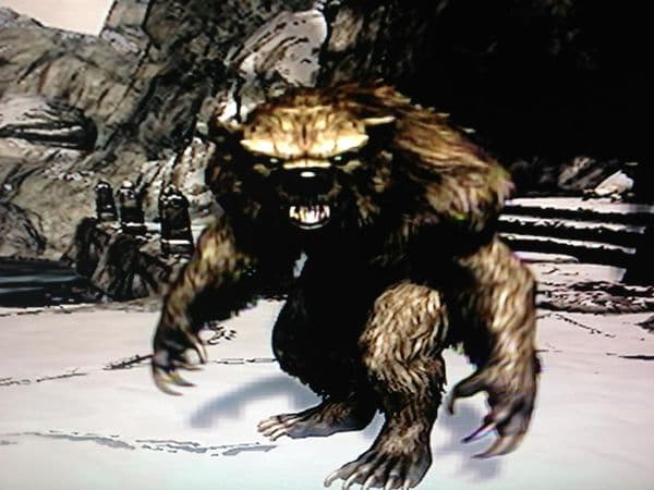 DB creature Werebear