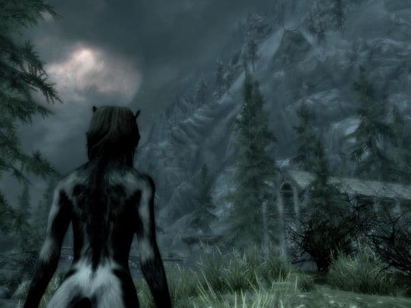 ScreenShot9