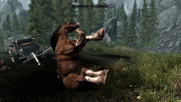 Horse