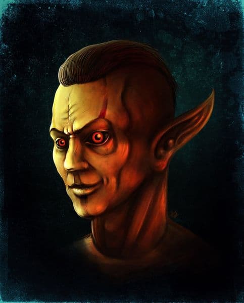 Данмер