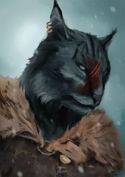 Каджит