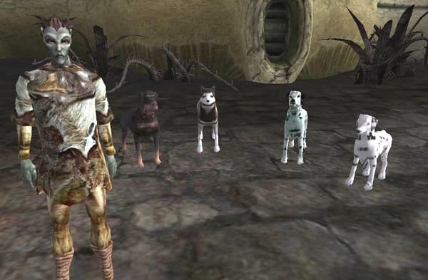 4 Dog Companions