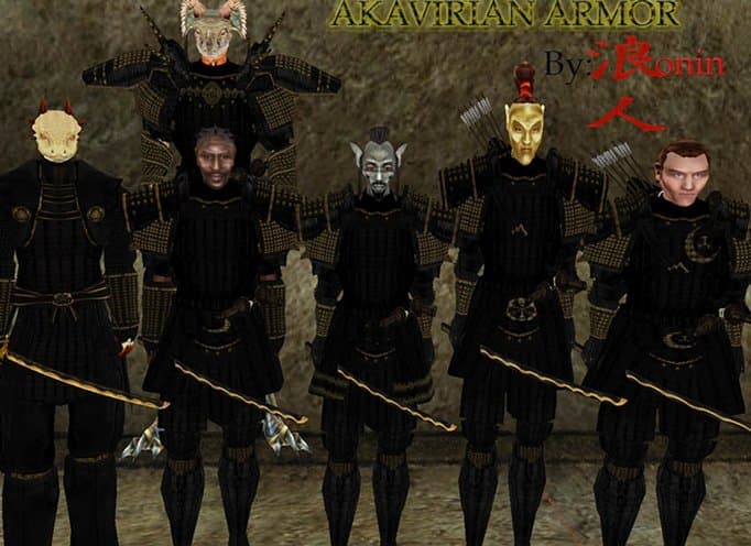 Akavirian Armor