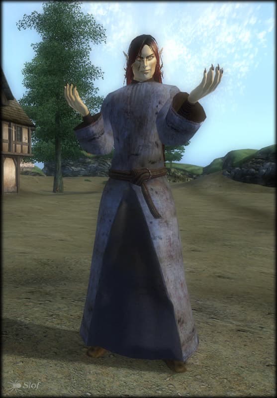Robert Male Average Stock Clothing And Armor